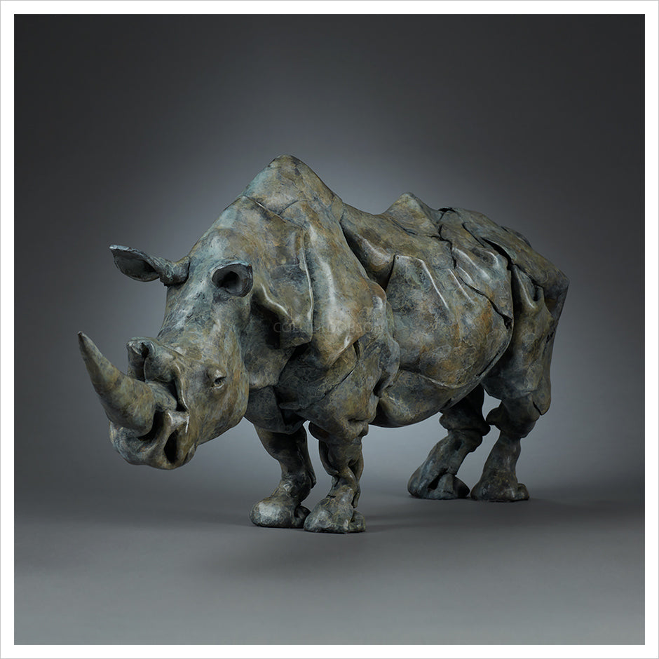 Southern White Rhino by Fred Gordon