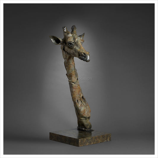 Giraffe Head by Fred Gordon