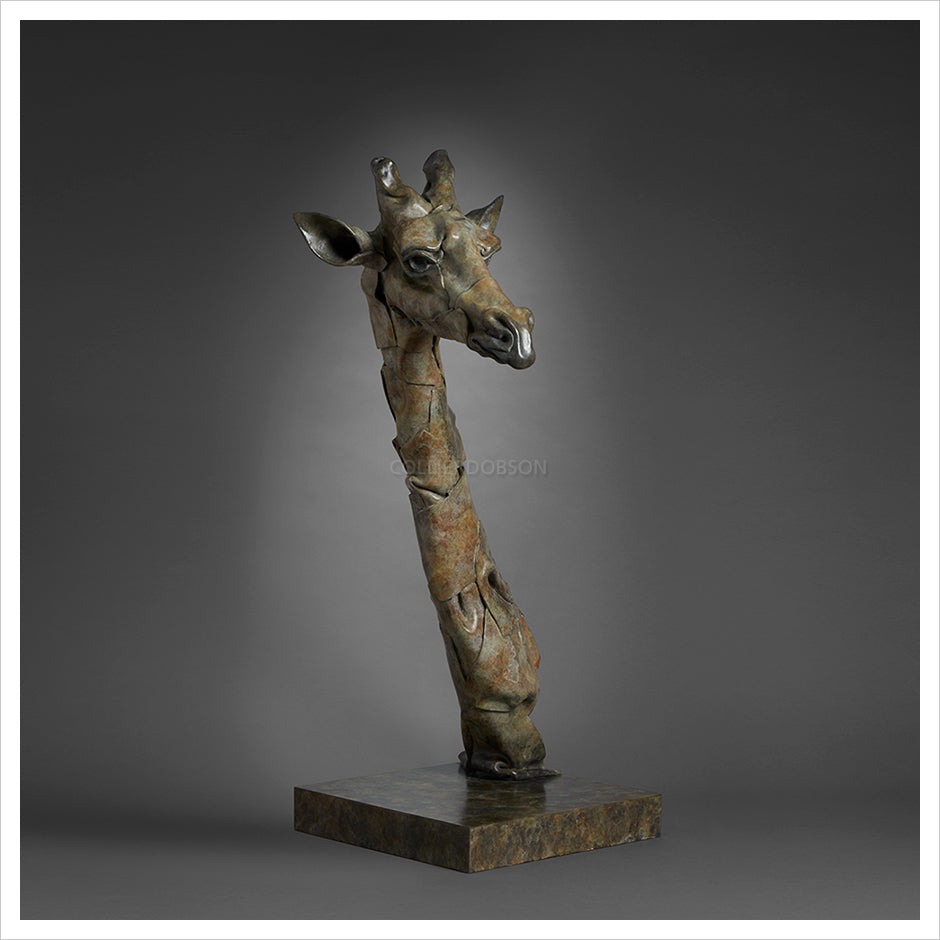 Giraffe Head by Fred Gordon
