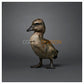 Duckling by Fred Gordon