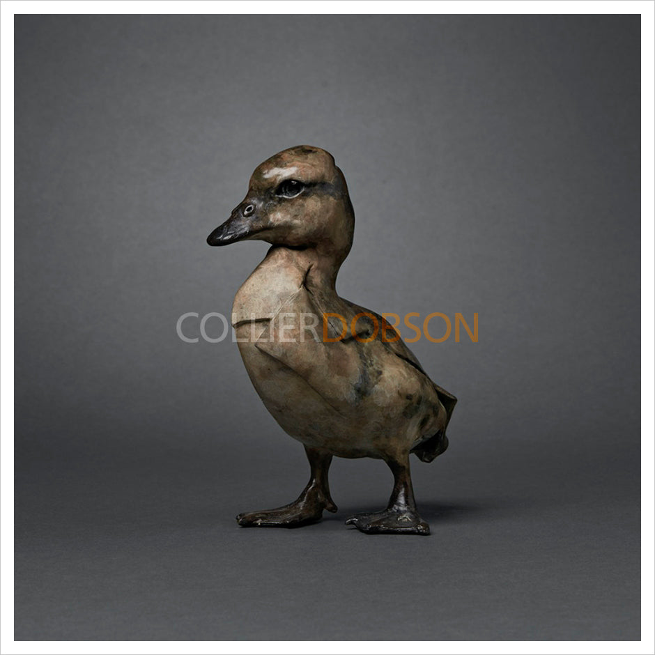 Duckling by Fred Gordon
