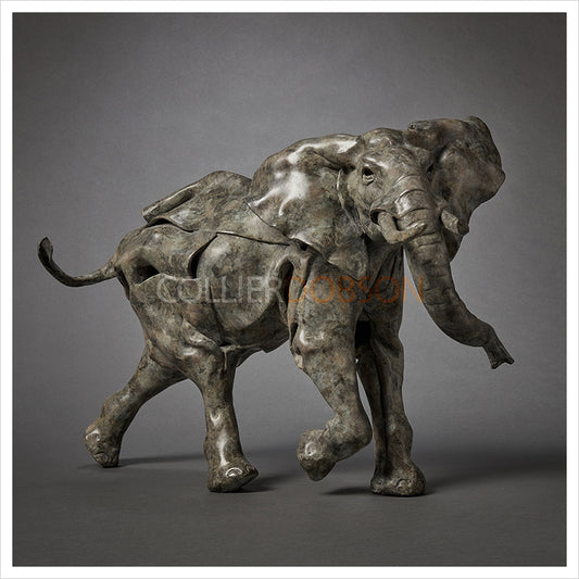 Elephant by Fred Gordon