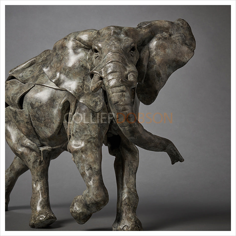 Elephant by Fred Gordon