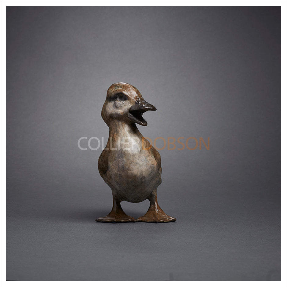 Quacking Duckling by Fred Gordon