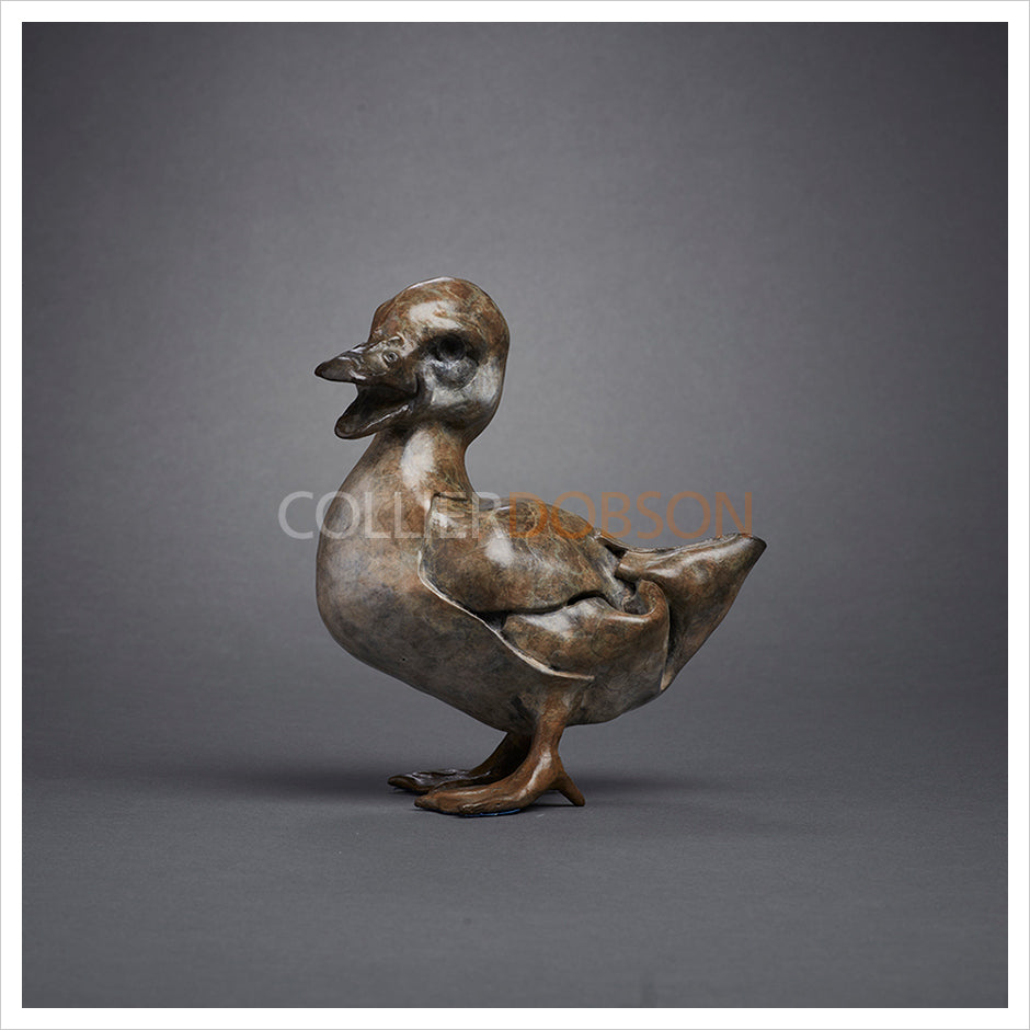 Quacking Duckling by Fred Gordon