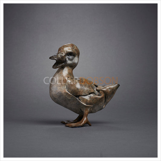 Quacking Duckling by Fred Gordon