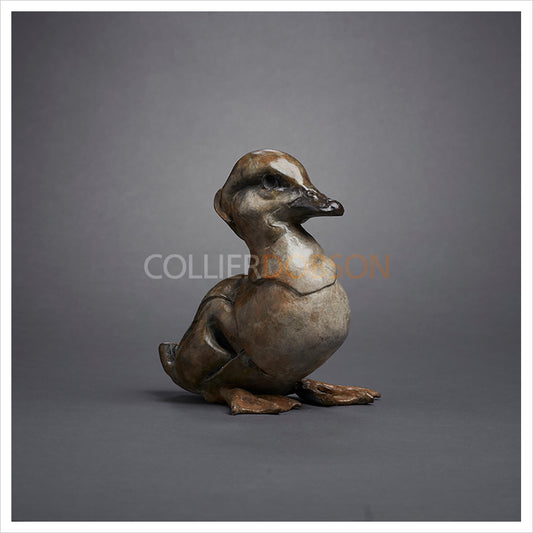 Seated Duckling by Fred Gordon