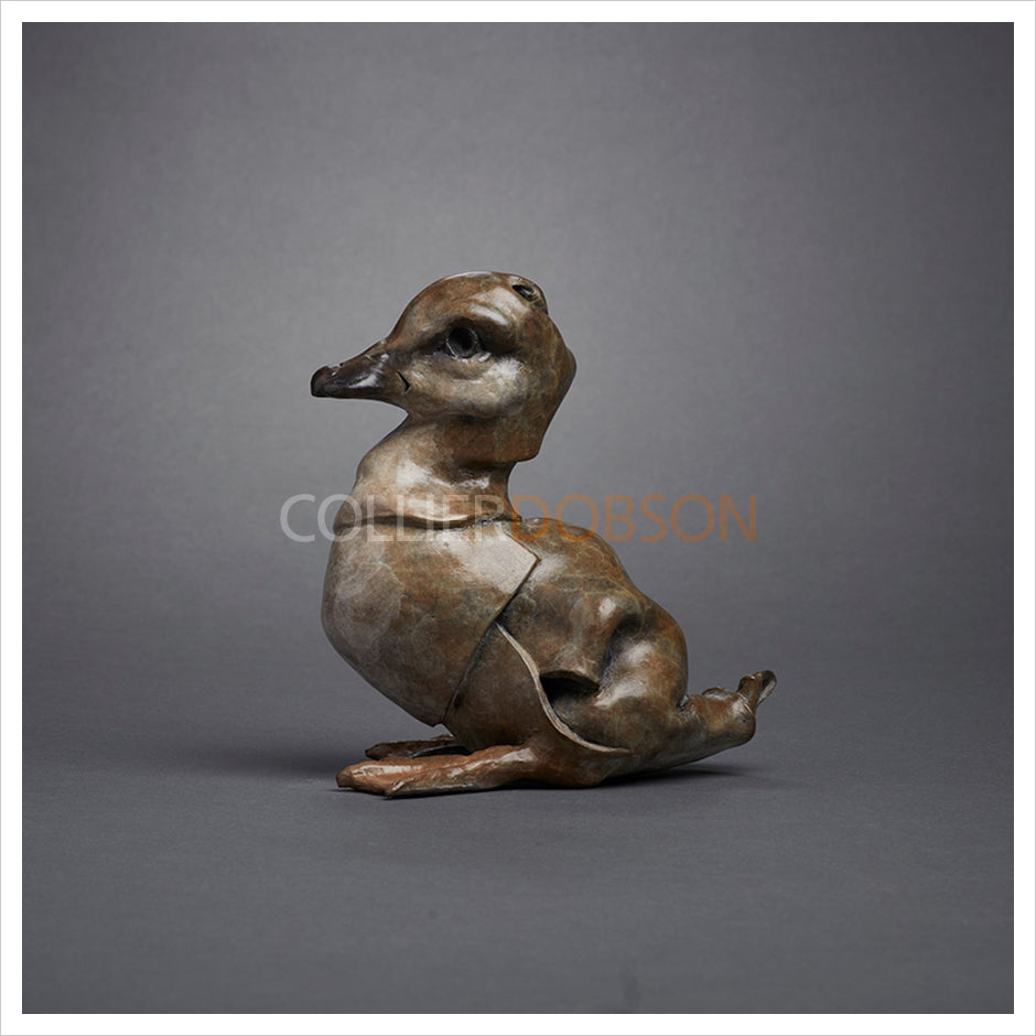 Seated Duckling by Fred Gordon