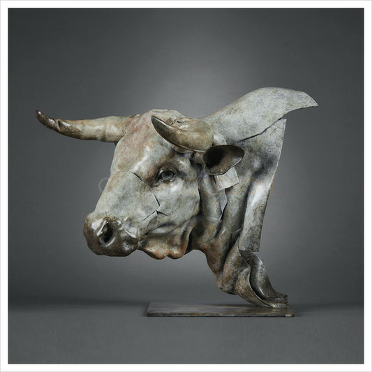 White Park Bull Head by Fred Gordon