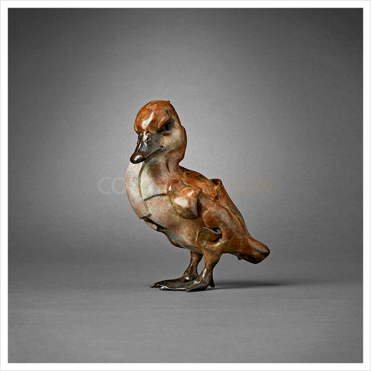 Winged Duckling by Fred Gordon