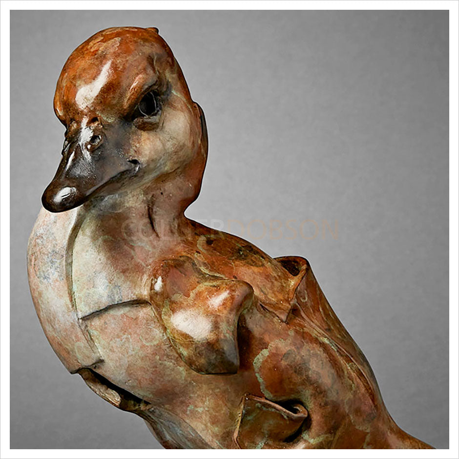 Winged Duckling by Fred Gordon