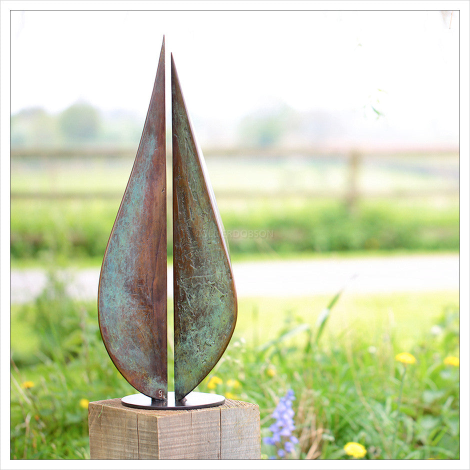 Seed by Geoff Jeal