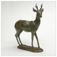 Roe Buck by Gill Parker
