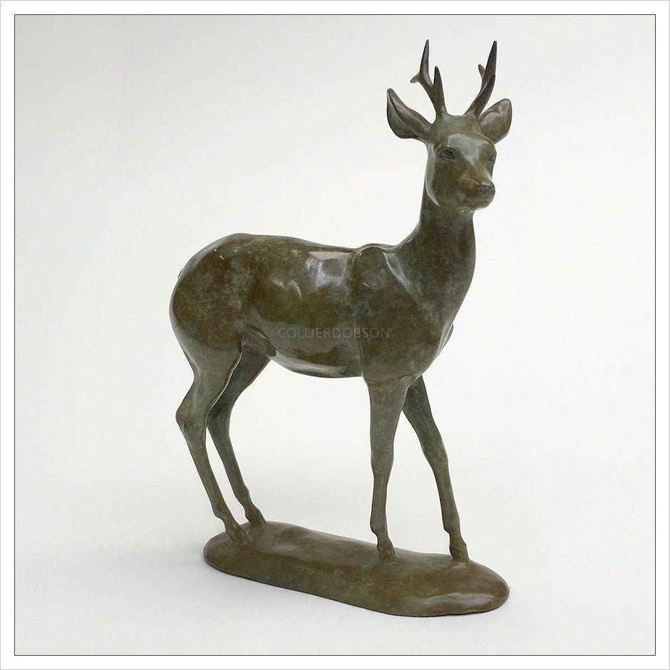 Roe Buck by Gill Parker