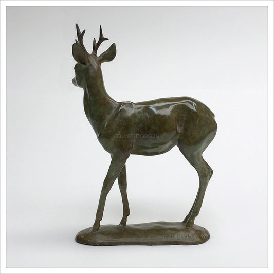 Roe Buck by Gill Parker