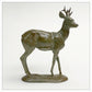 Roe Buck by Gill Parker