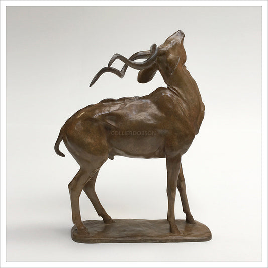 Kudu by Gill Parker