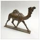 Dromedary Camel by Gill Parker
