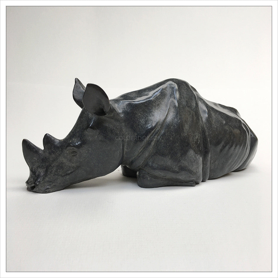 Reclining Rhinoceros by Gill Parker