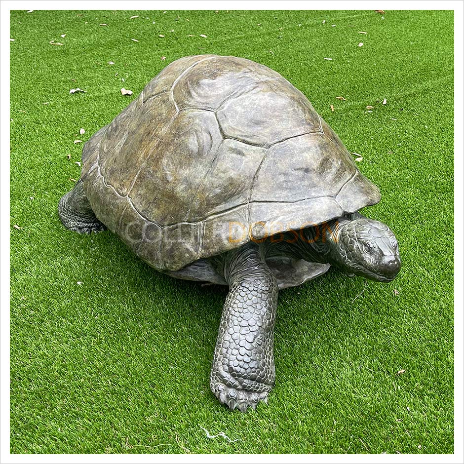 Galapagos Tortoise III by Gill Parker
