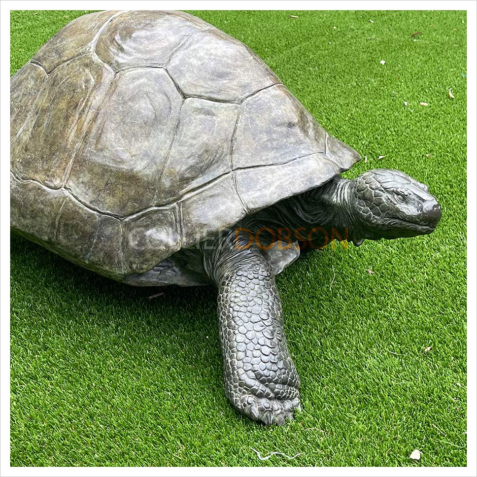 Galapagos Tortoise III by Gill Parker