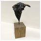 Long Horn Bull by Gill Parker
