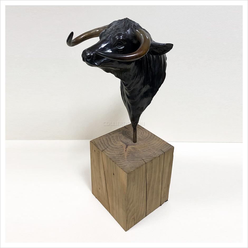 Long Horn Bull by Gill Parker