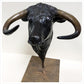 Long Horn Bull by Gill Parker