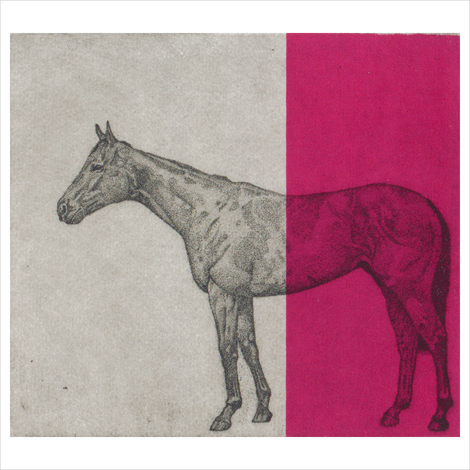 Little Horse Study - Fuscia by Guy Allen