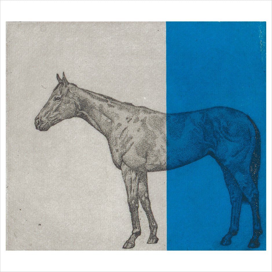 Little Horse Study - Blue by Guy Allen