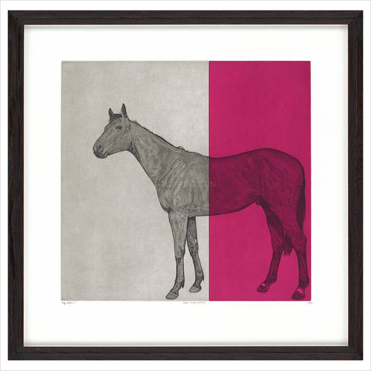 Framed Print