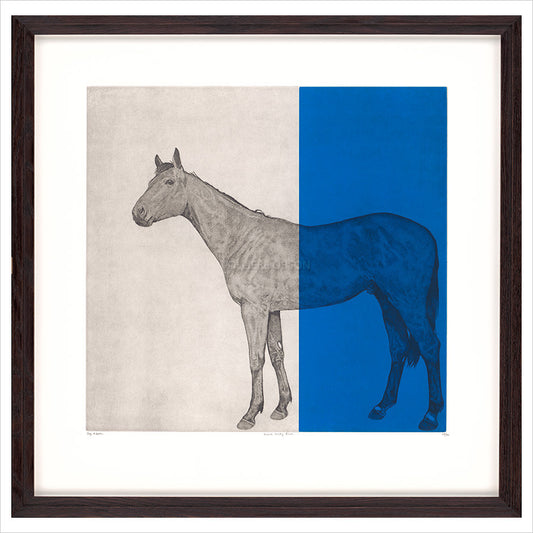 Framed Print