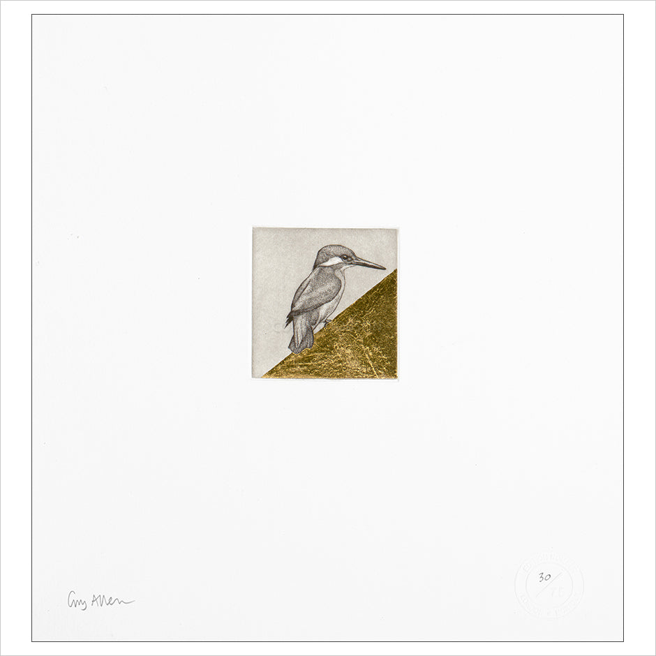 Float Mounted Print
