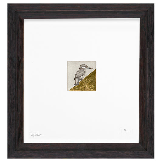 Framed Print (ARTglass)