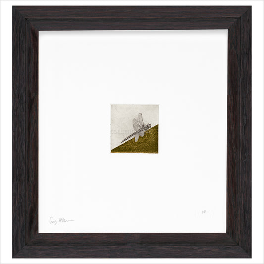 Framed Print (ARTglass)