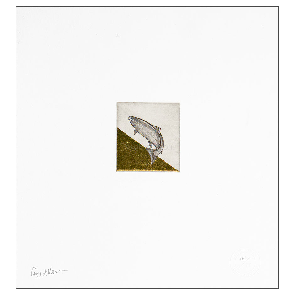 Float Mounted Print