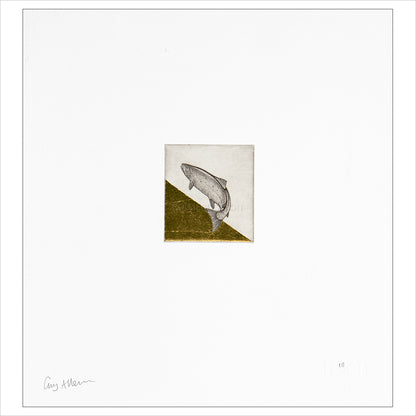 Float Mounted Print