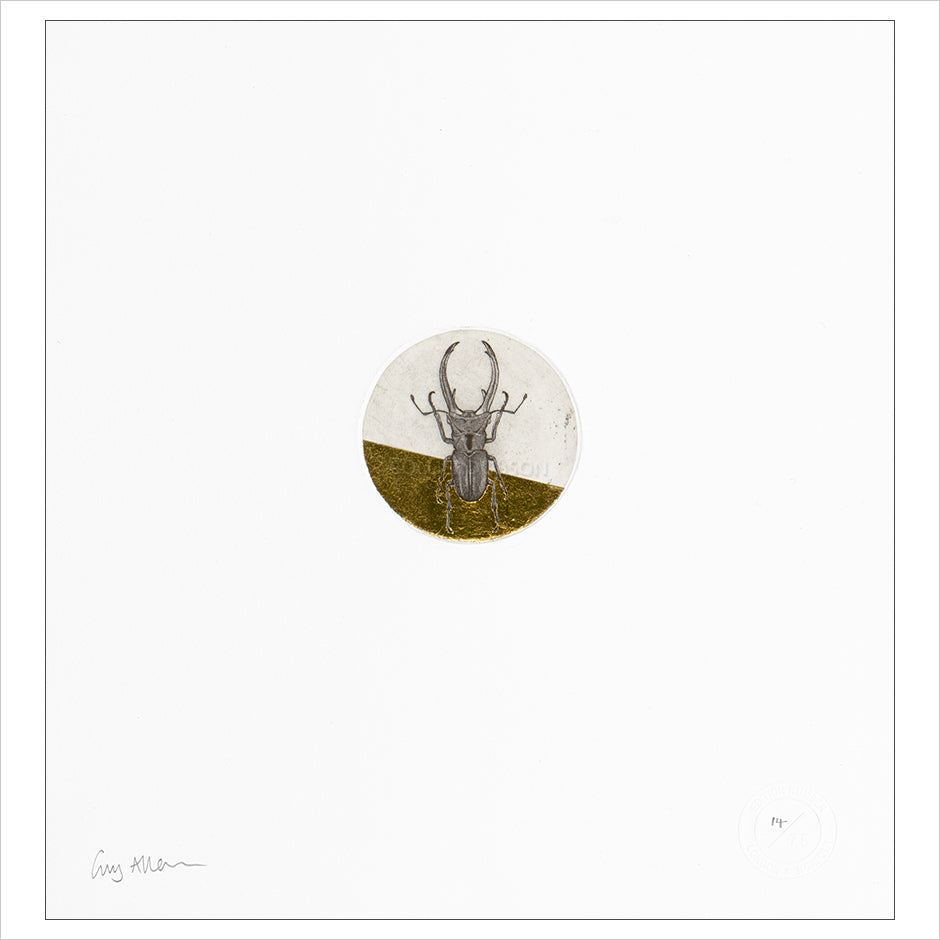 Float Mounted Print