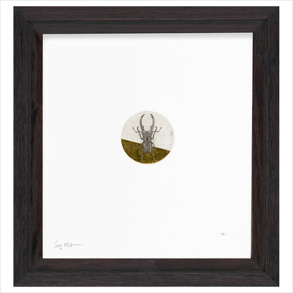 Framed Print (ARTglass)