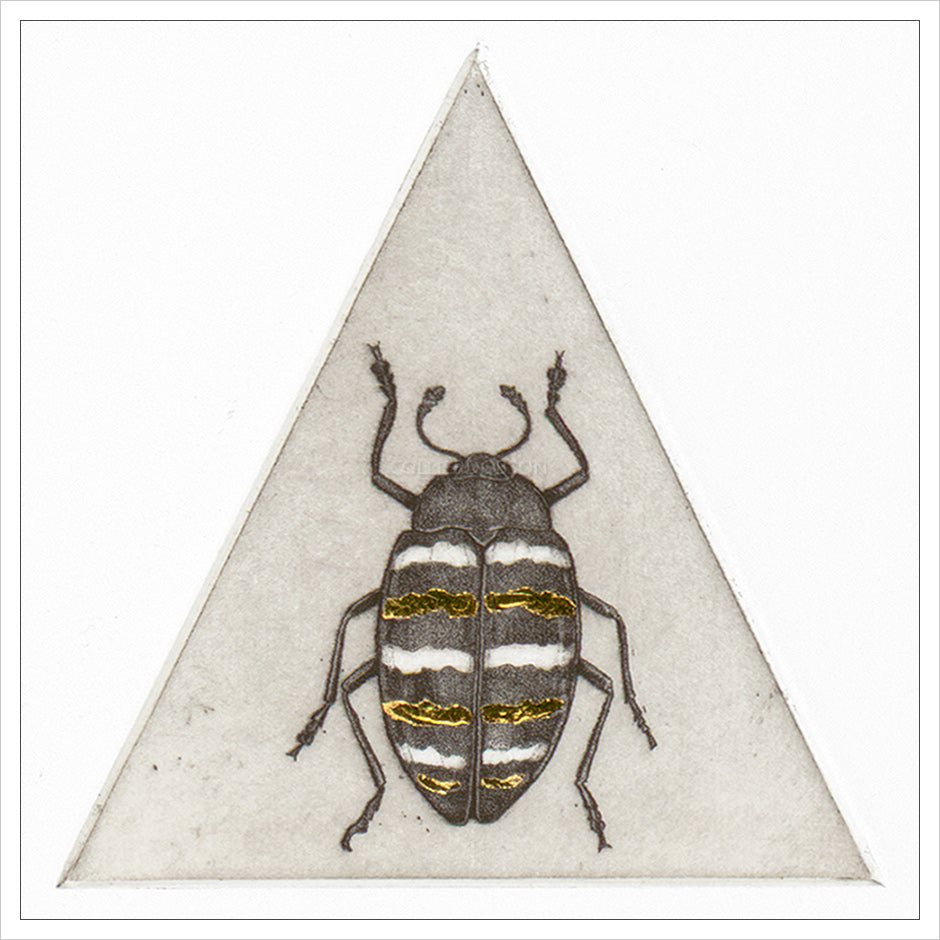 Golden Beetle Study by Guy Allen