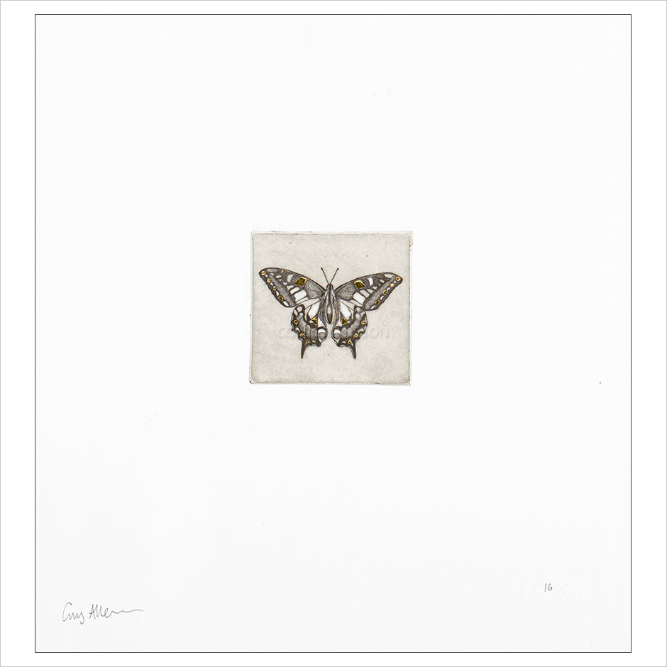 Float Mounted Print