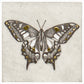 Swallowtail Butterfly Study by Guy Allen