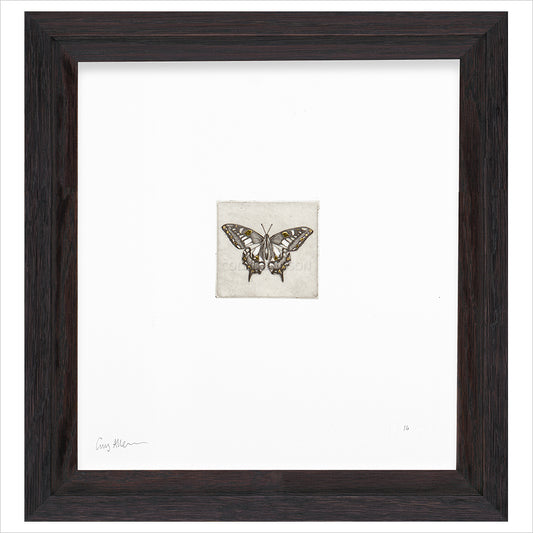 Framed Print (ARTglass)