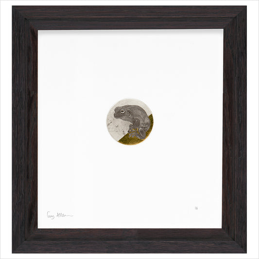 Framed Print (ARTglass)