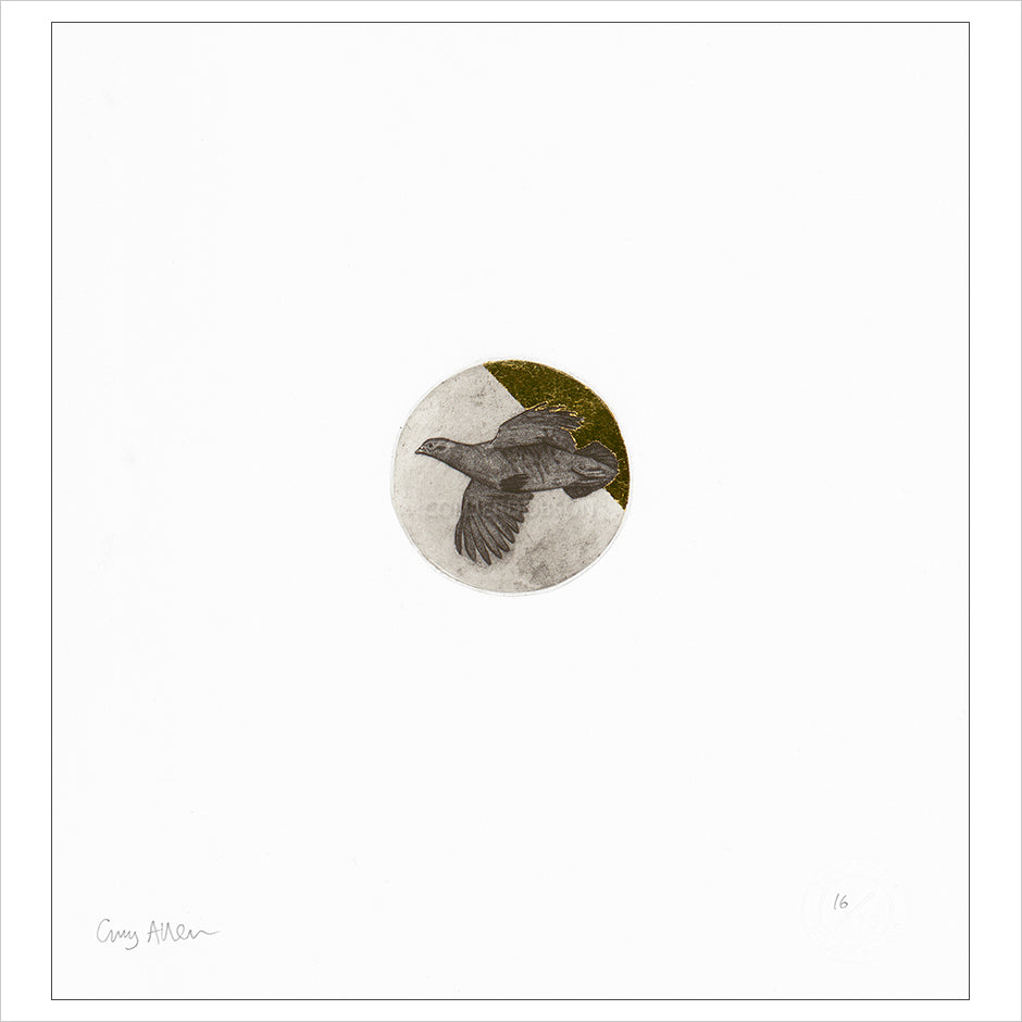 Float Mounted Print