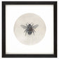 Framed Print (ARTglass)