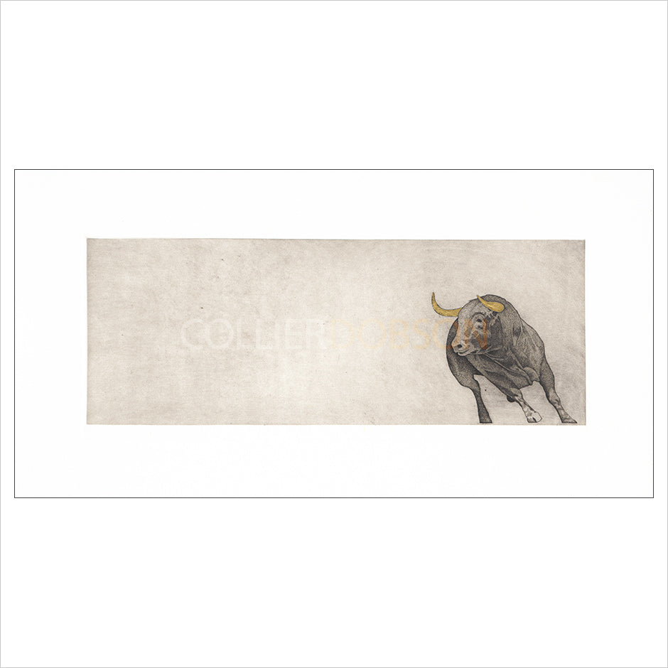 Float Mounted Print