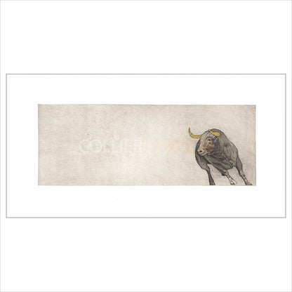 Float Mounted Print