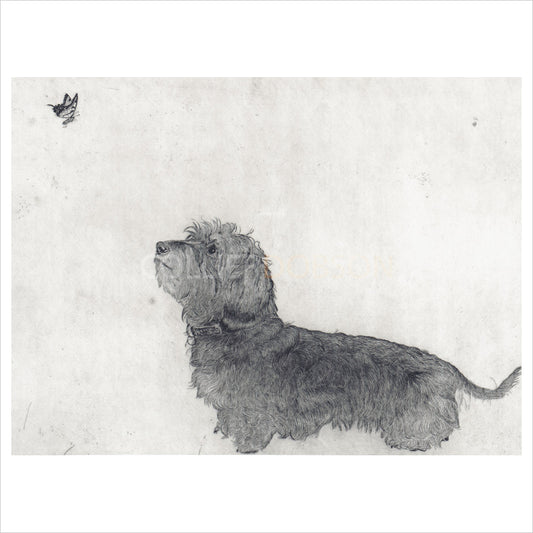 Dachshund & Butterfly by Guy Allen