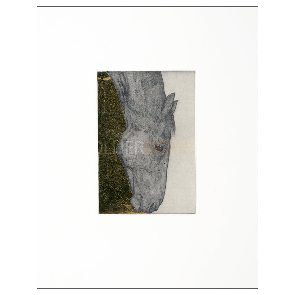 Float Mounted Print